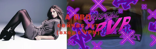стафф Баксан