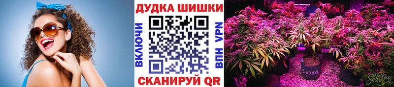 где купить   Новоуральск  Каннабис MAZAR 